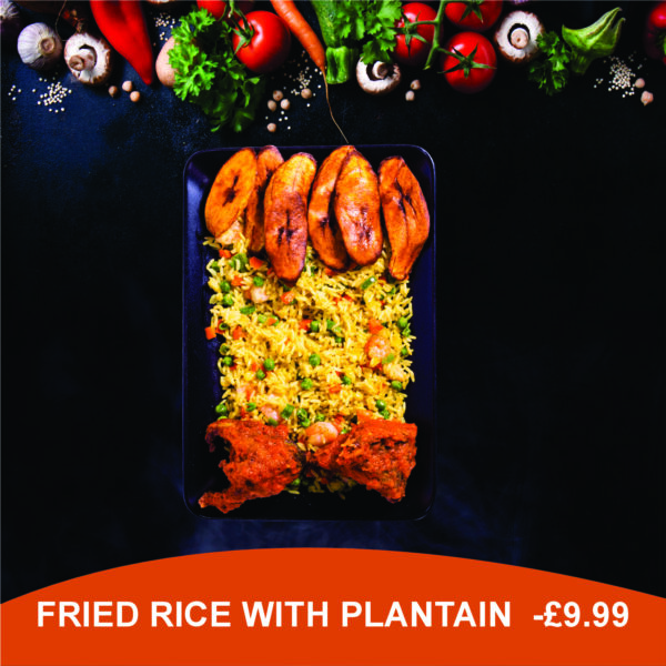 Rice Meals - Image 5